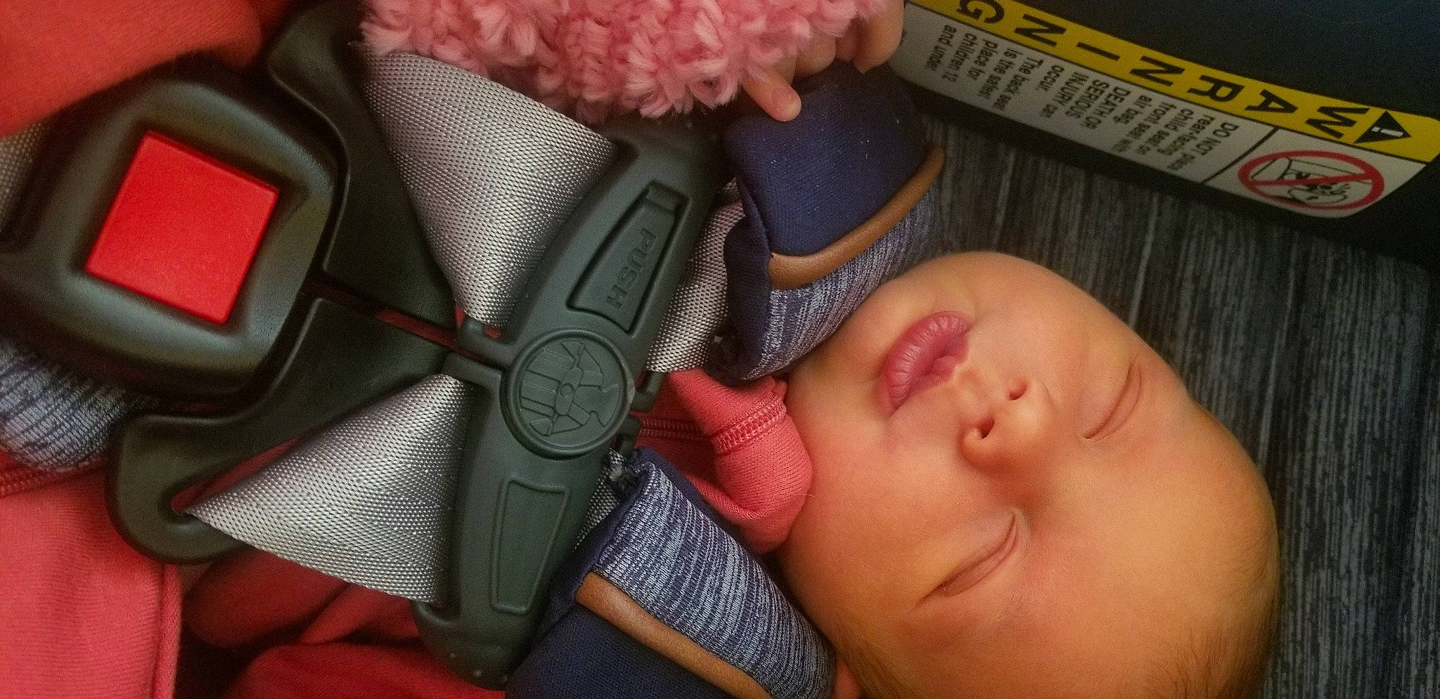 Evalynn is registered to the contest to win money with this photo: baby, cheek, child, close_up, ear, eye, finger, forehead, hand, head, mouth, nap, nose, organ, person, pink, product, skin, sleep, thumb