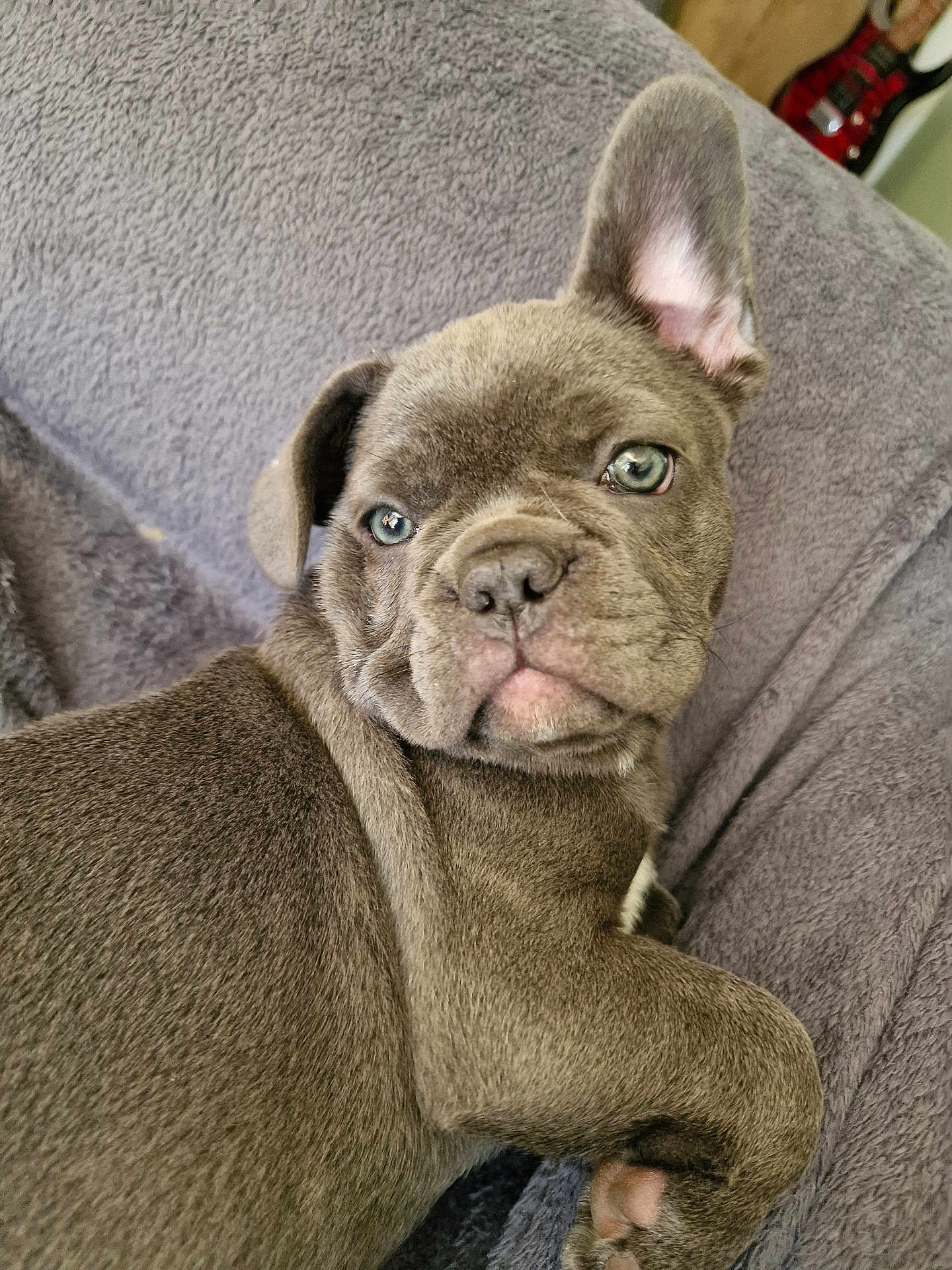 Abby