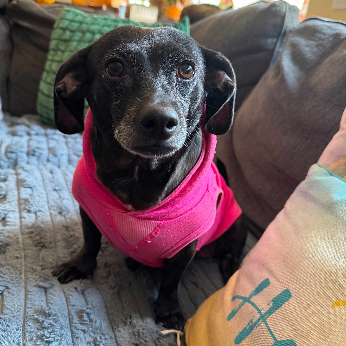 Chloe