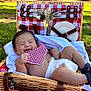 baby, infant, picnic_basket, red_and_white_checkered, bib, diaper, shoes, grass, outdoor, smiling, happy, sunlight, greenery, trees, leaves, picnic, blanket, cute, basket, nature