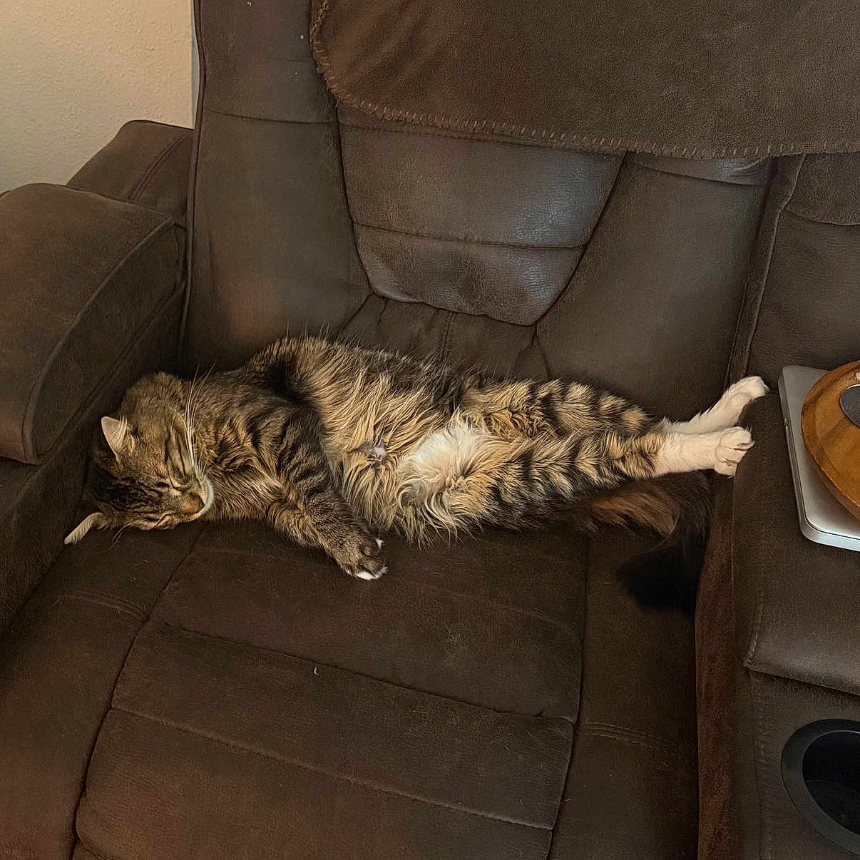 Mr.p is registered to the contest to win money with this photo: cat, tabby_cat, sleeping, recliner, brown_furniture, indoor, pet, feline, cozy, relaxing, cushion, fur, whiskers, paw, animal, domestic_animal, resting, home, leisure, nap