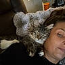 cat, tabby, person, face, couch, blanket, fur, indoor, lamp, light, relaxed, snuggling, sleepy, cozy, shoulder, home, decor, photography, portrait, furniture
