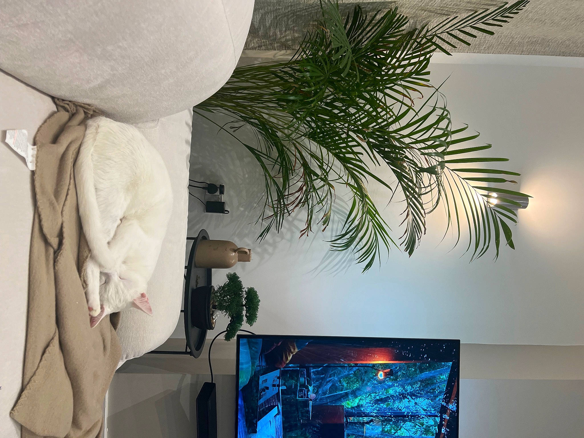 George joined the competition — help win amazing prizes! arecales, art, ceiling, electric_blue, event, feather, house, houseplant, interior_design, light, lighting, living_room, output_device, palm_tree, plant, room, sculpture, tree, wall, white