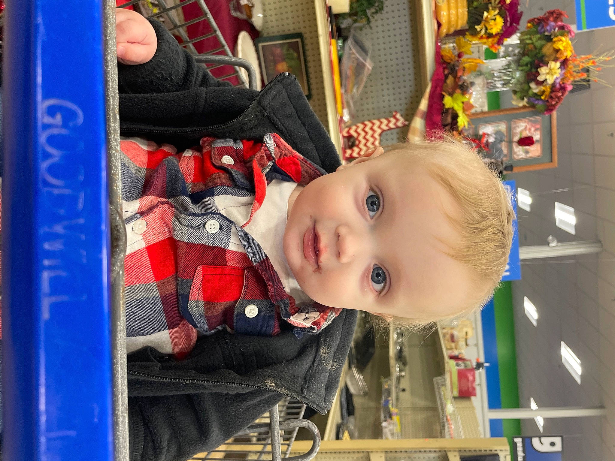 Levi is registered to the contest to win money with this photo: baby, baby_products, blue, child, electric_blue, event, fun, pattern, person, plant, room, suit, toddler, toy, tree, vacation