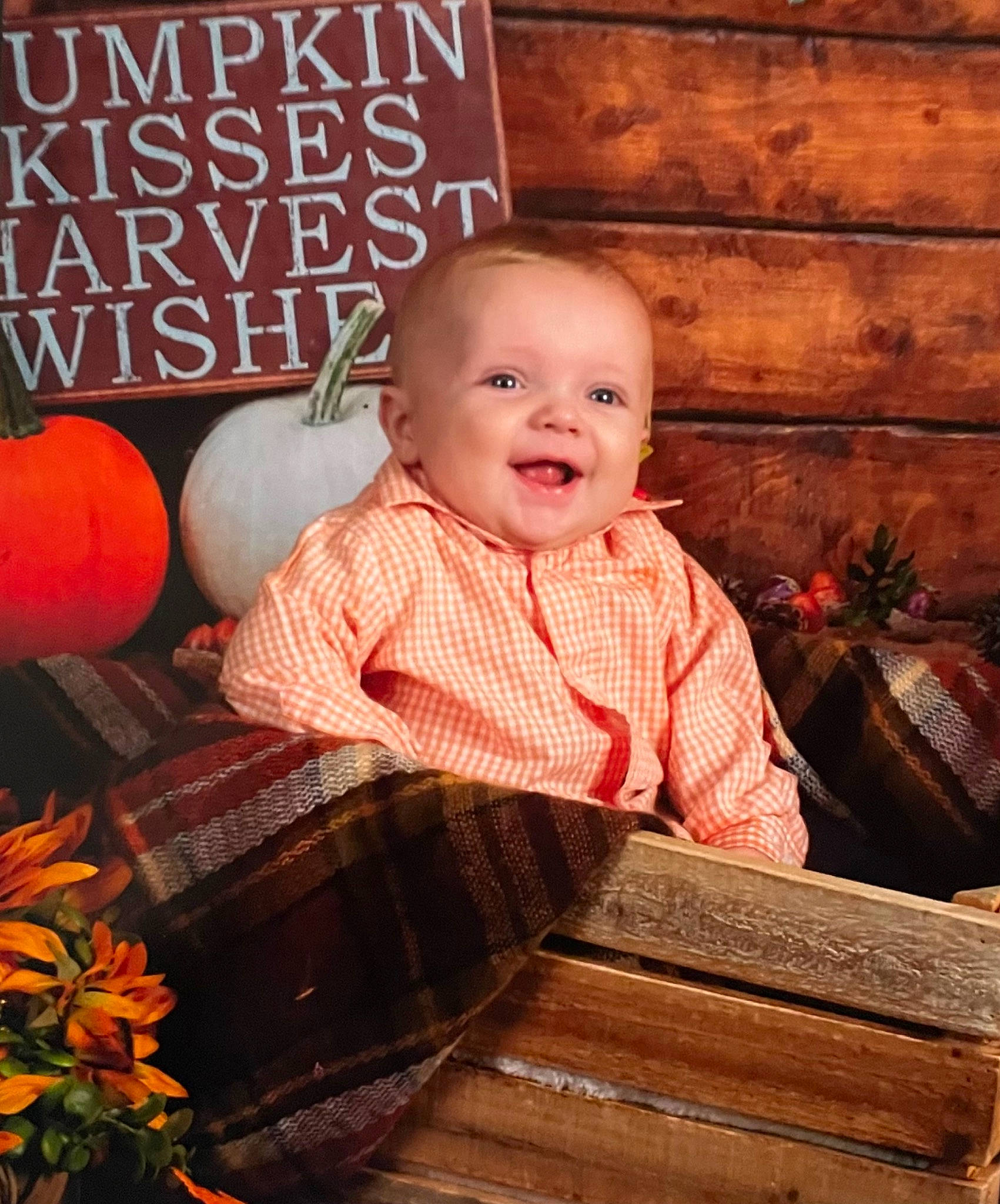 Levi is registered to the contest to win money with this photo: baby, baby_toddler_clothing, book_cover, calabaza, child, flowerpot, fun, happy, laugh, orange, people, person, photo_caption, plant, portrait_photography, room, sitting, smile, t_shirt, toddler