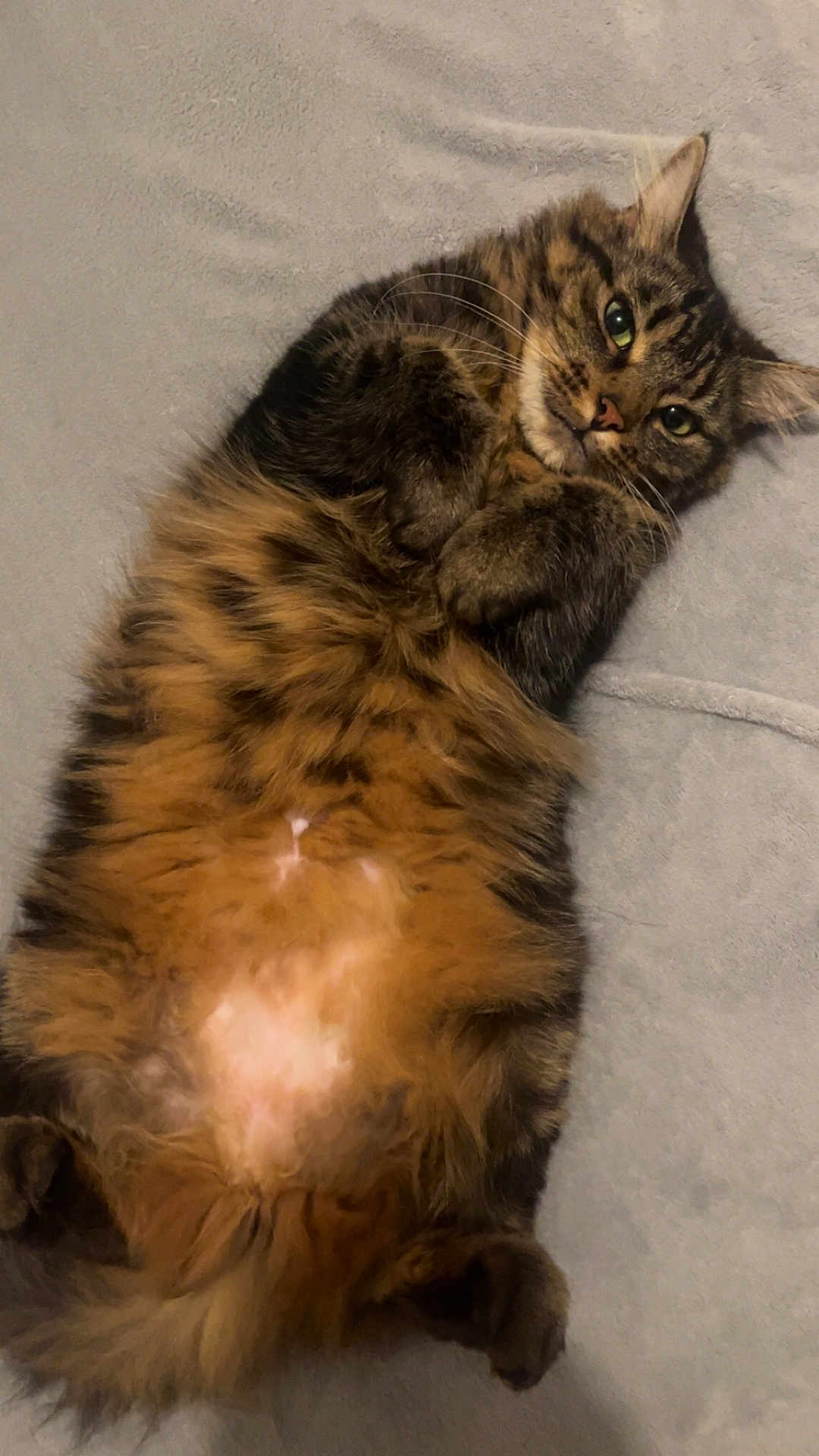 Simba
