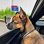 animal, black_fur, brown_fur, car, collar, daylight, dog, ears_up, fence, greenery, looking_out, outdoor, pet, puppy, road, side_mirror, side_view, vehicle_interior, window, young_dog