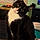 Binx