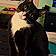 Binx