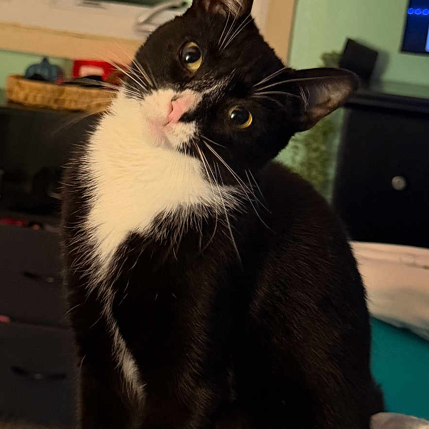 Binx