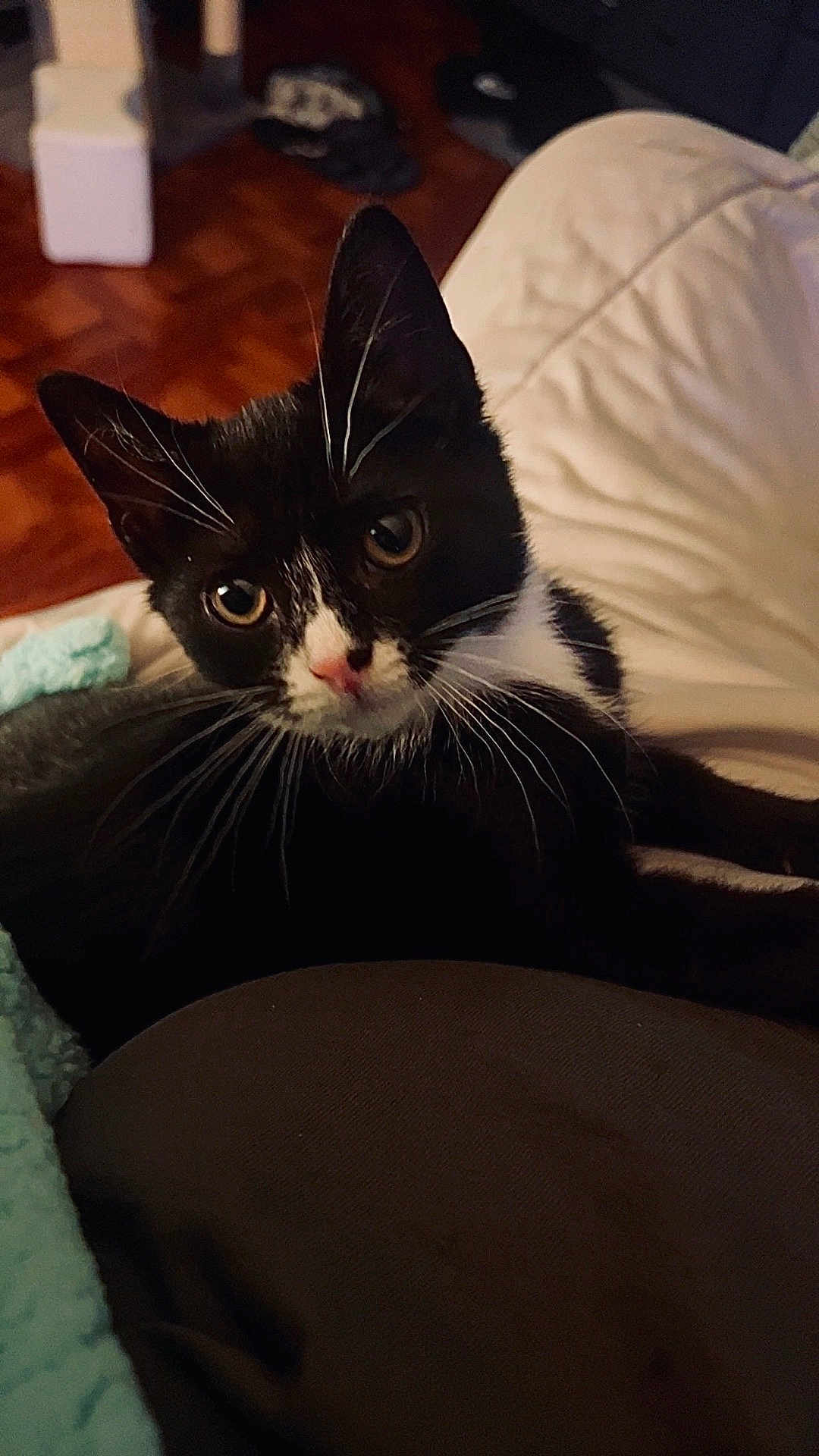 Binx