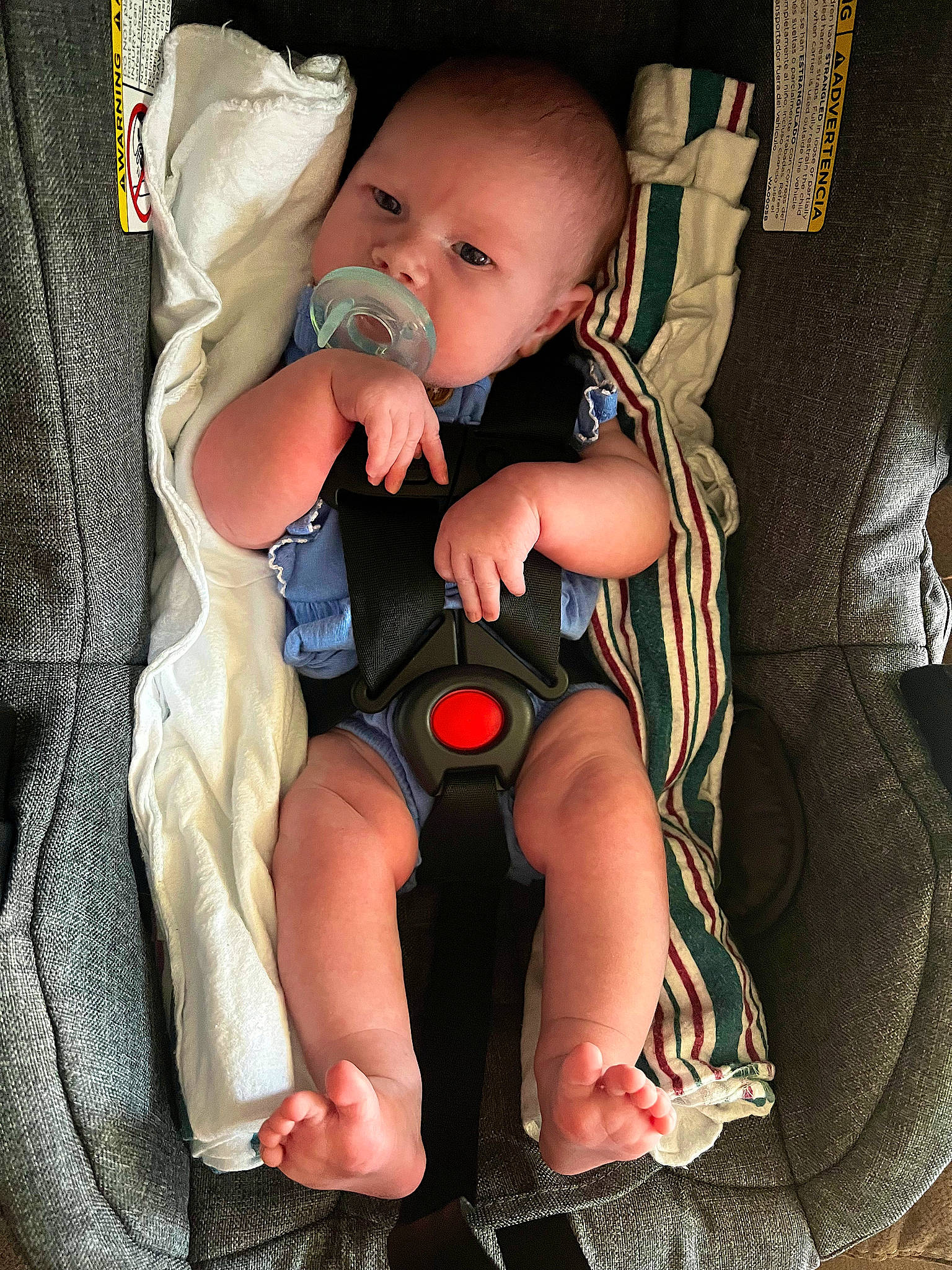 Paisley joined the competition — help win amazing prizes! abdomen, baby, baby_products, baby_toddler_clothing, cheek, child, comfort, eye, face, finger, foot, human_leg, lap, leg, nail, person, sitting, skin, thigh, thumb