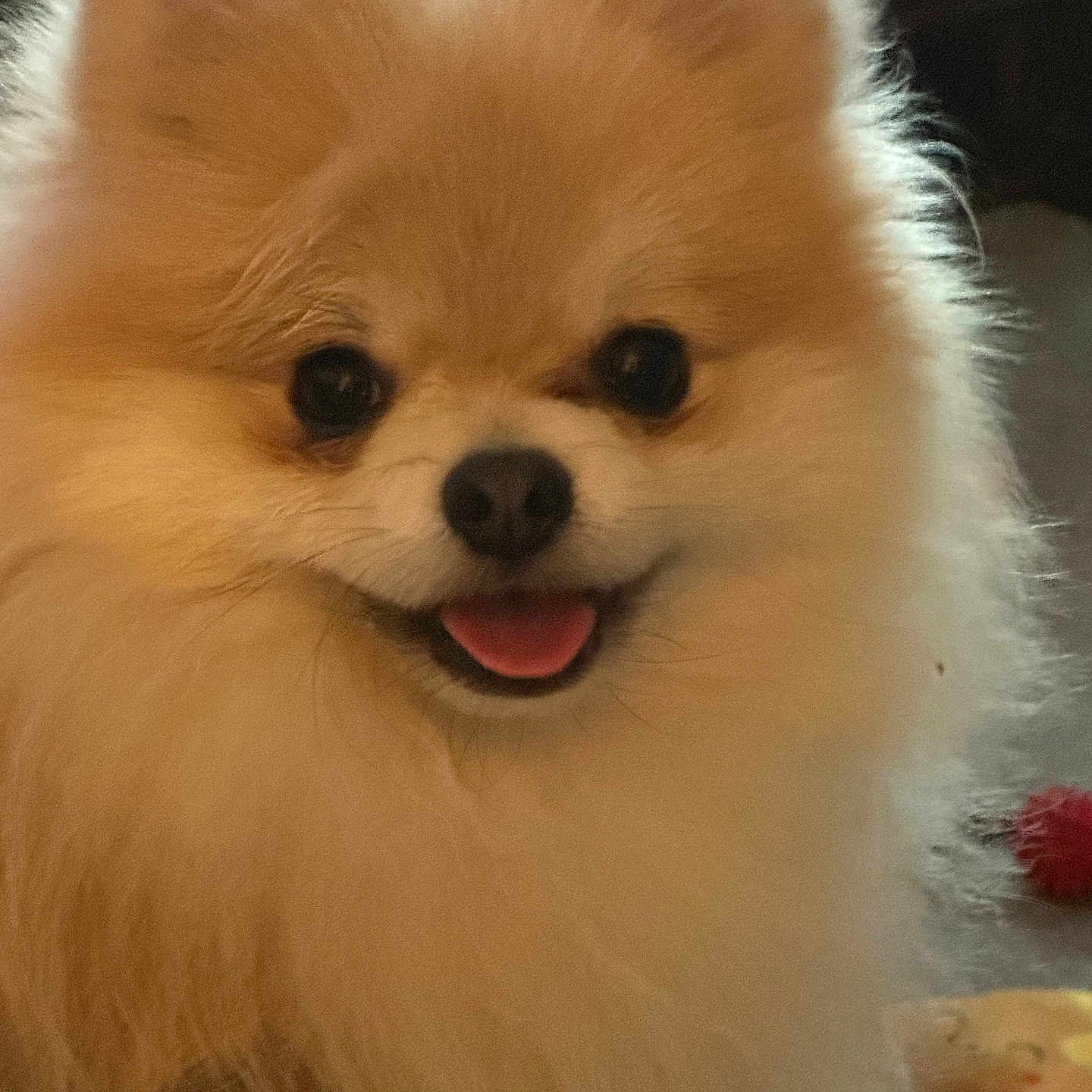 Jack
