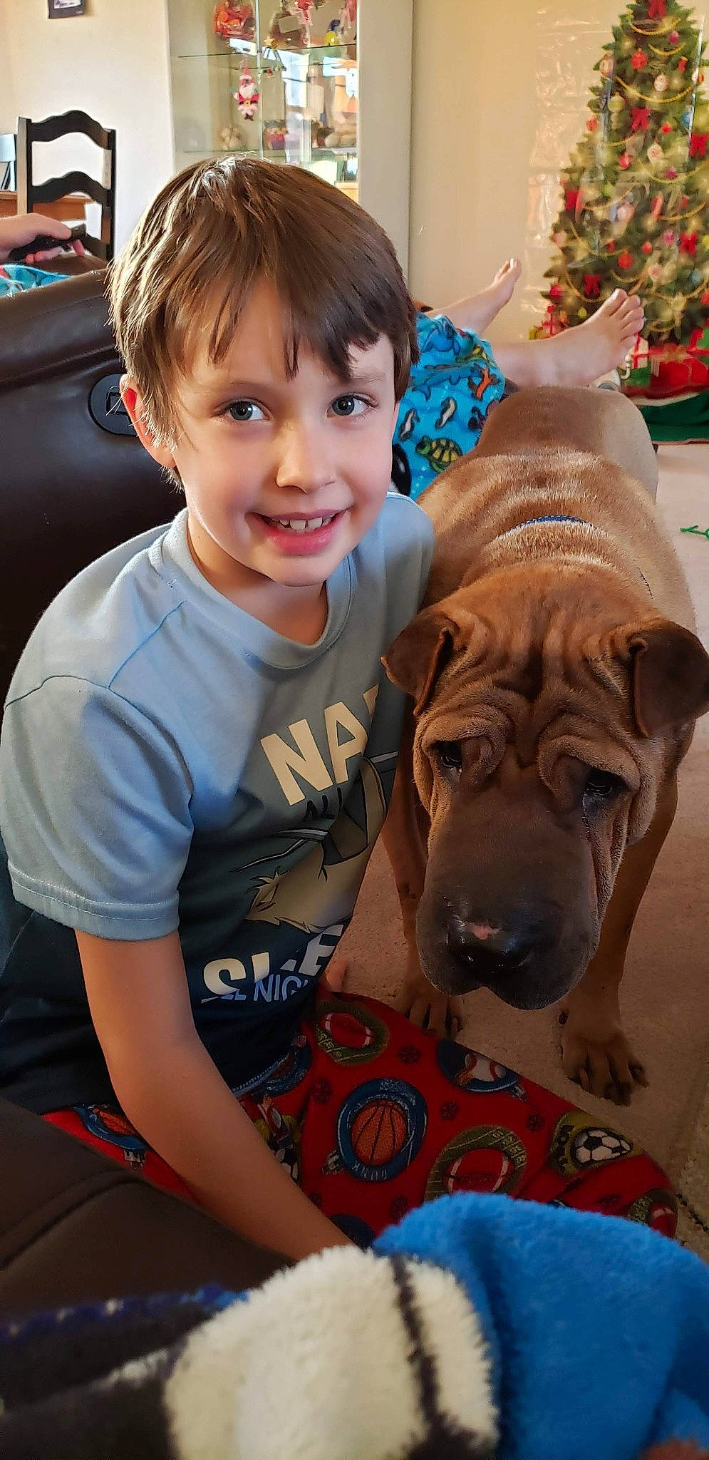 Colt joined the competition — help win amazing prizes! blue, canidae, carnivore, companion_dog, dog, dog_breed, fawn, flooring, guard_dog, happy, holiday, molosser, sitting, smile, snout, sporting_group, t_shirt, toddler, working_animal, wrinkle