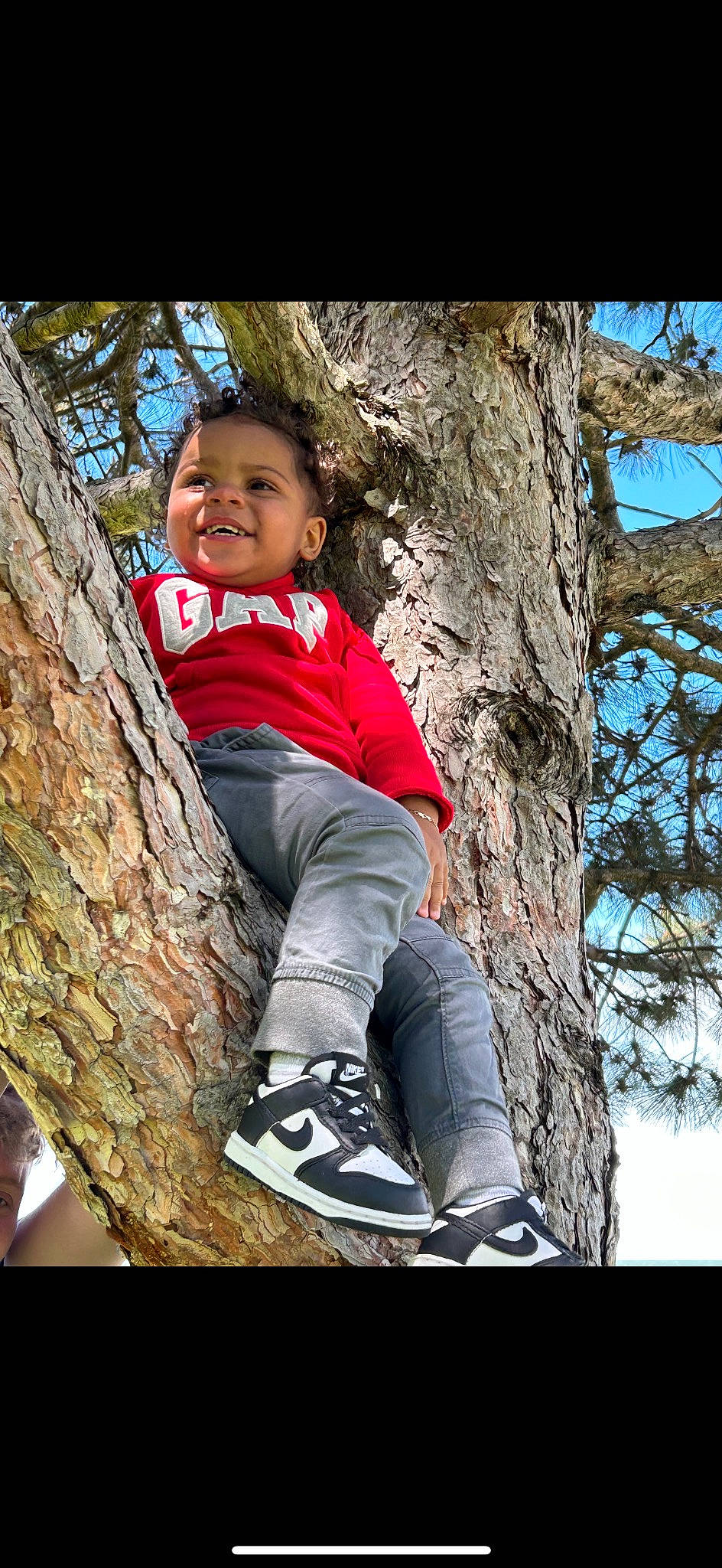 Connor is registered to the contest to win money with this photo: boot, branch, child, eye, fun, happy, leaf, leg, leisure, nature, people_in_nature, person, plant, recreation, sky, smile, sneakers, toddler, tree, trunk