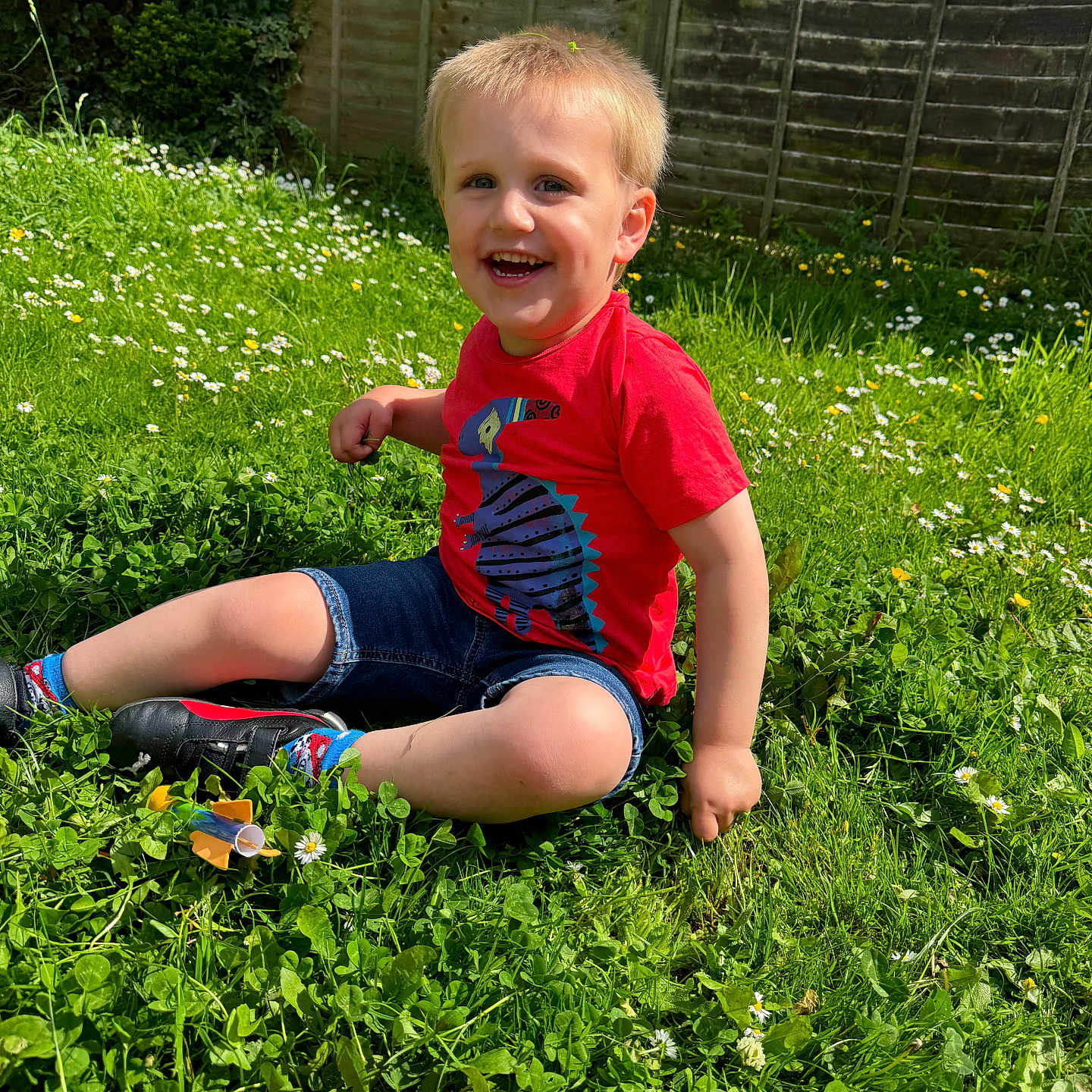 Ethan is registered to the contest to win money with this photo: backyard, boy, child, clothing, face, field, grass, grassland, head, herbal, herbs, nature, outdoors, person, photography, plant, portrait, shorts, summer, yard