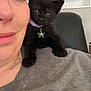 Rajah joined the competition — help win amazing prizes! person, kitten, black_cat, collar, star_pendant, smile, face, shoulder, close_up, indoor, whiteboard, chair, gray_shirt, cute, pet, animal, feline, sparkle_overlay, heart_overlay, portrait