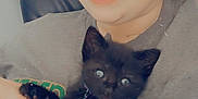 Rajah is registered to the contest to win money with this photo: person, smiling, cat, kitten, black_cat, indoor, close_up, holding, collar, star_charm, seated, happy, cute, pet, feline, hand, face, casual_clothing, red_hair, chair