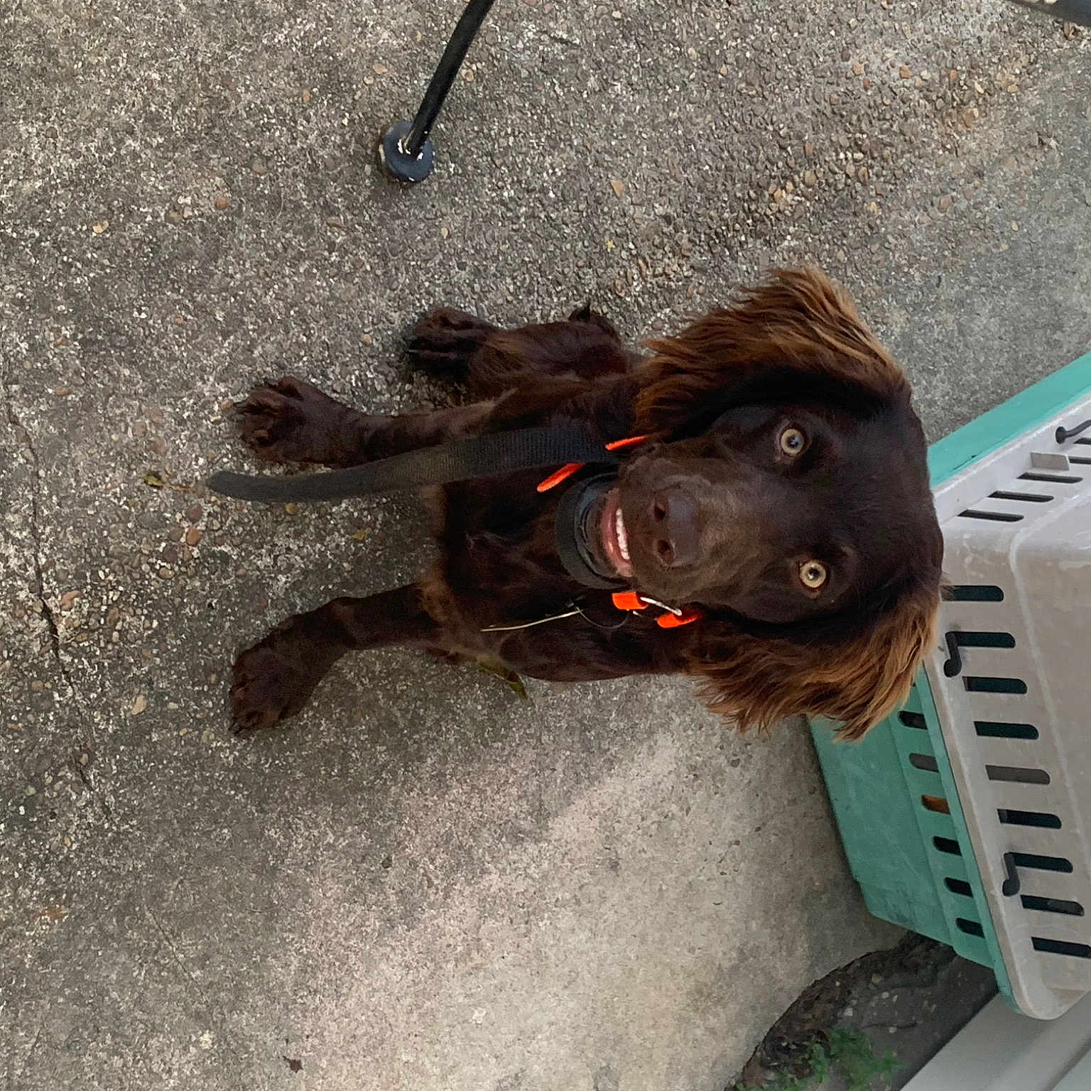 Rip