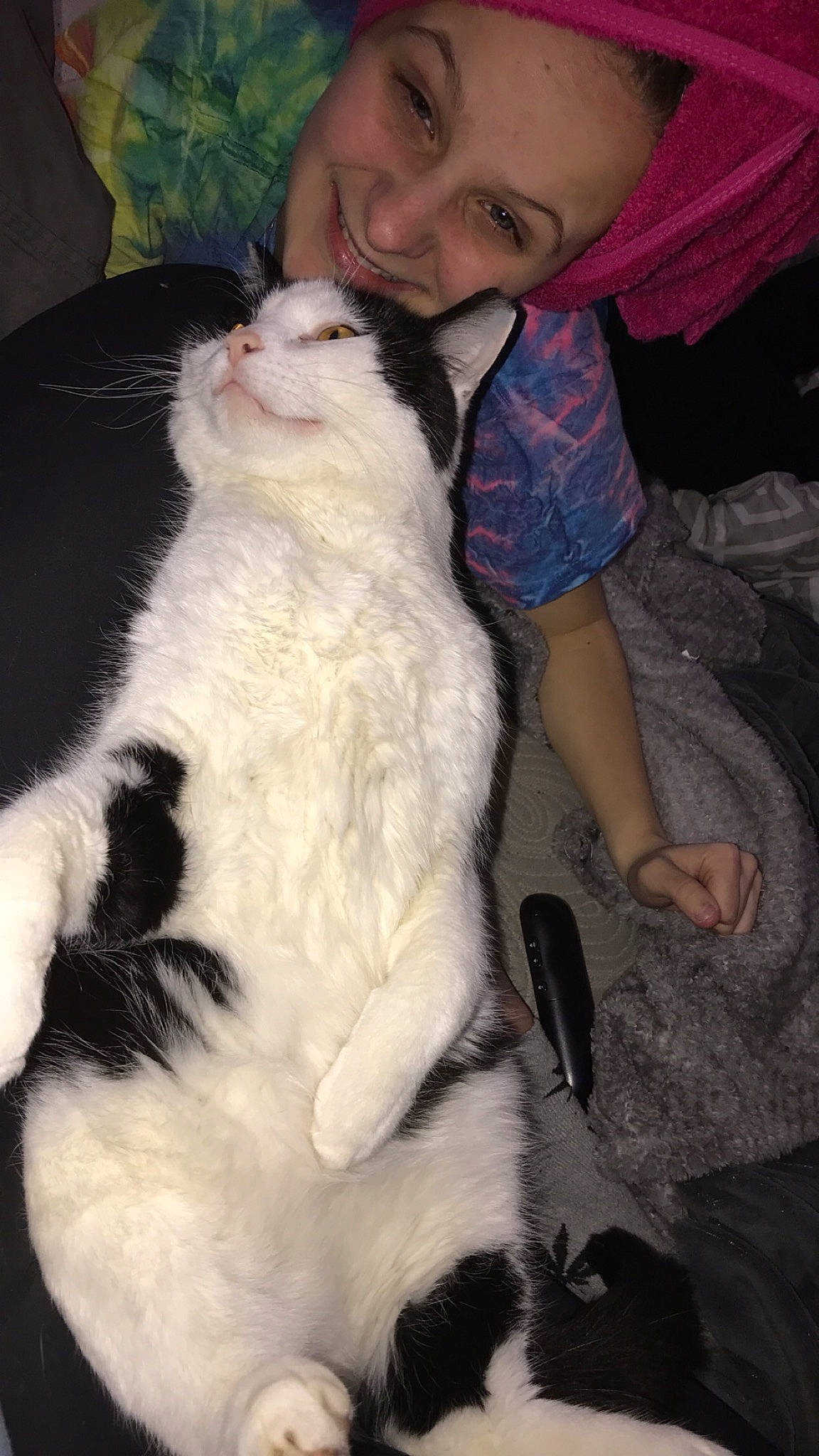 Oswald is registered to the contest to win money with this photo: canidae, carnivore, cat, companion_dog, dog_breed, elbow, fawn, felidae, fur, lap, natural_material, small_to_medium_sized_cats, smile, sporting_group, tail, whiskers