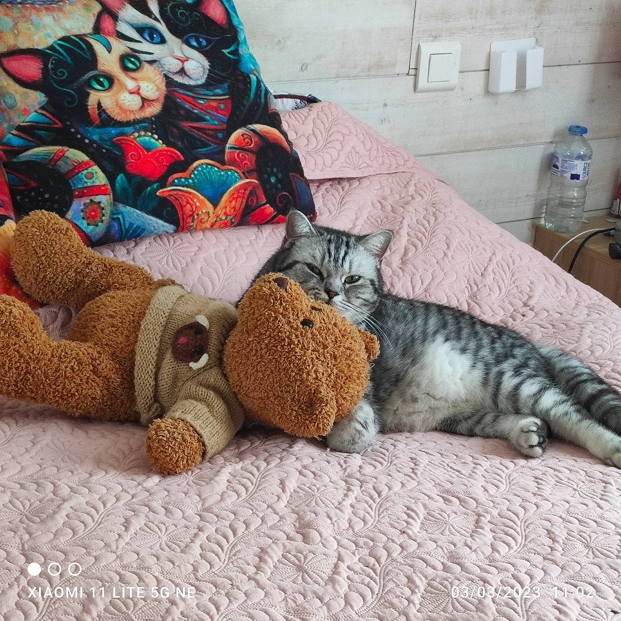 Ohmaley a rejoint le concours — aidez-le/la à gagner de superbes lots ! art, bedding, carnivore, cat, comfort, couch, fawn, felidae, flooring, fur, leg, linens, mammal, pattern, small_to_medium_sized_cats, stuffed_toy, tail, toy, vertebrate, whiskers