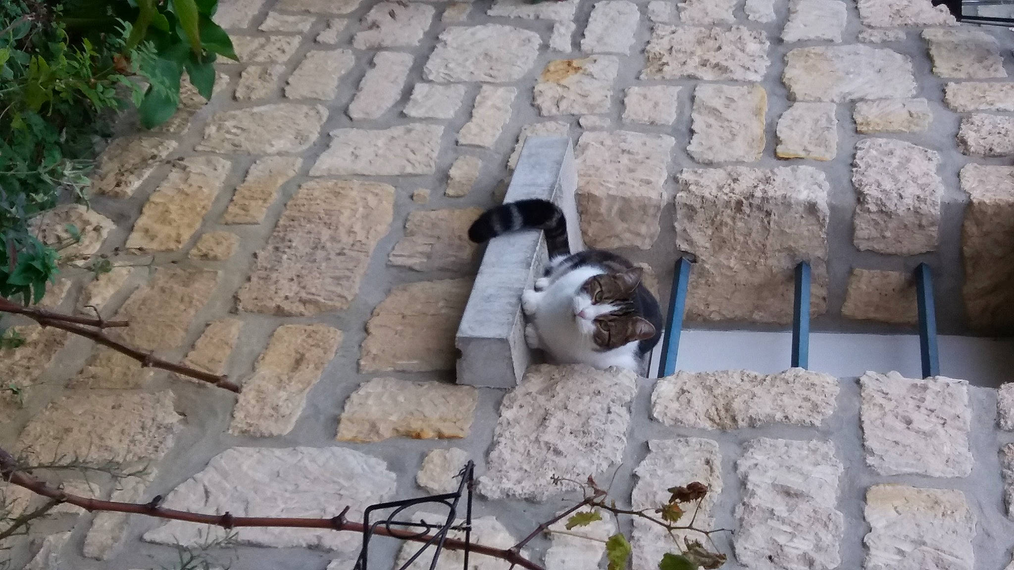 Cannelle Et Filou a rejoint le concours — aidez-le/la à gagner de superbes lots ! ancient_history, art, beak, brick, cobblestone, concrete, facade, flagstone, flooring, grass, human_settlement, limestone, monument, plant, road_surface, rock, sculpture, statue, stone_carving, stone_wall