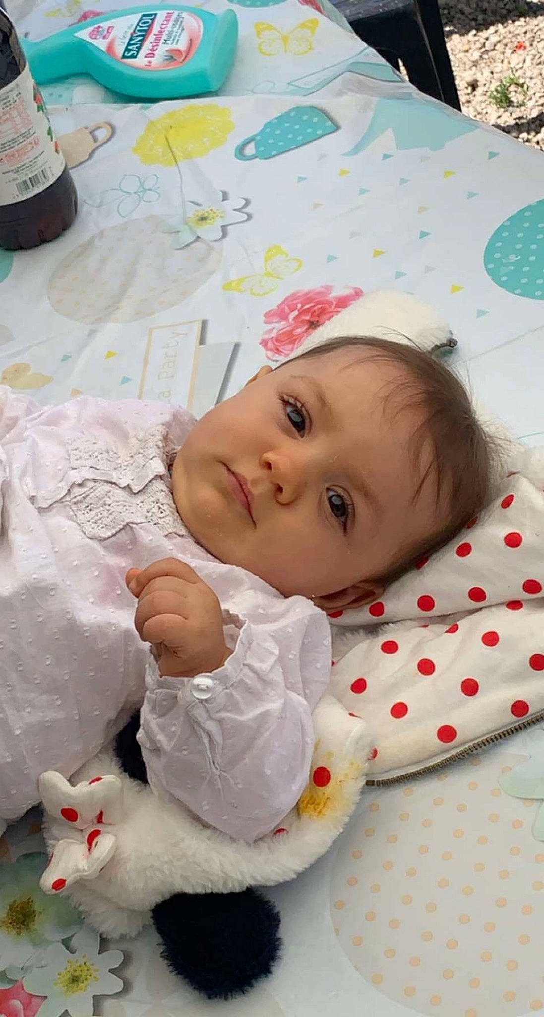 Mya participe au concours pour gagner de l'argent avec cette photo : baby, baby_products, baby_toddler_clothing, bottle, cat, cheek, child, comfort, face, facial_expression, felidae, head, linens, pattern, person, pink, room, skin, sleeve, toddler