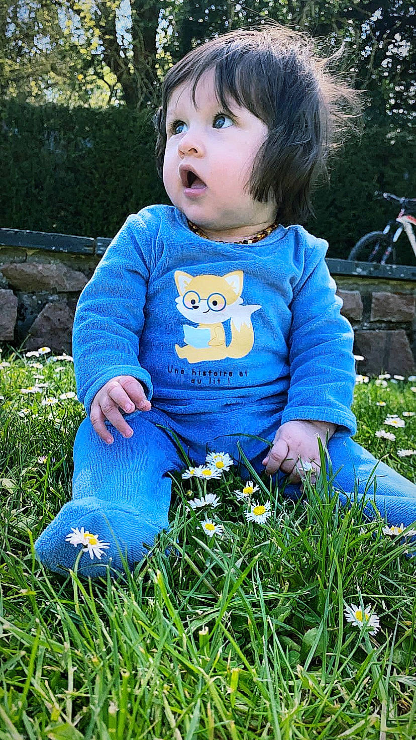 Lyla participe au concours pour gagner de l'argent avec cette photo : baby_toddler_clothing, beauty, botany, child, electric_blue, fun, grass, grass_family, green, happy, leaf, mammal, meadow, people, people_in_nature, person, photograph, plant, summer, t_shirt