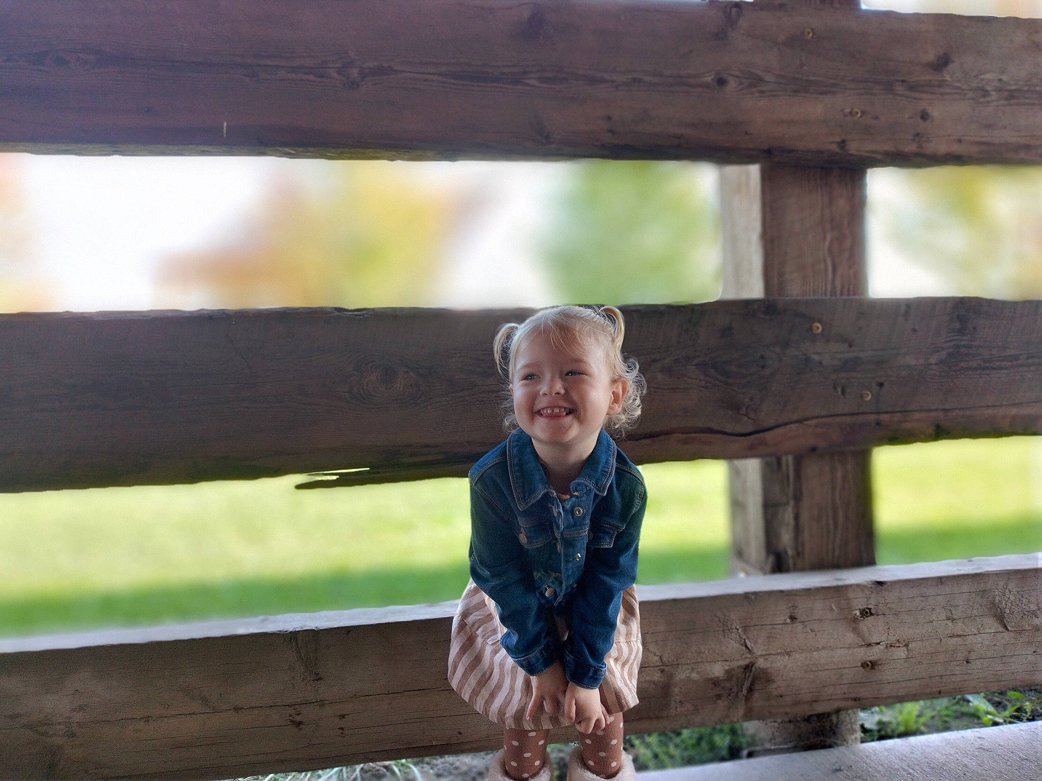 Araya joined the competition — help win amazing prizes! child, farm, fence, fun, grass, grassland, happy, joy, landscape, laugh, leisure, person, portrait_photography, recreation, sitting, smile, t_shirt, toddler, travel, tree