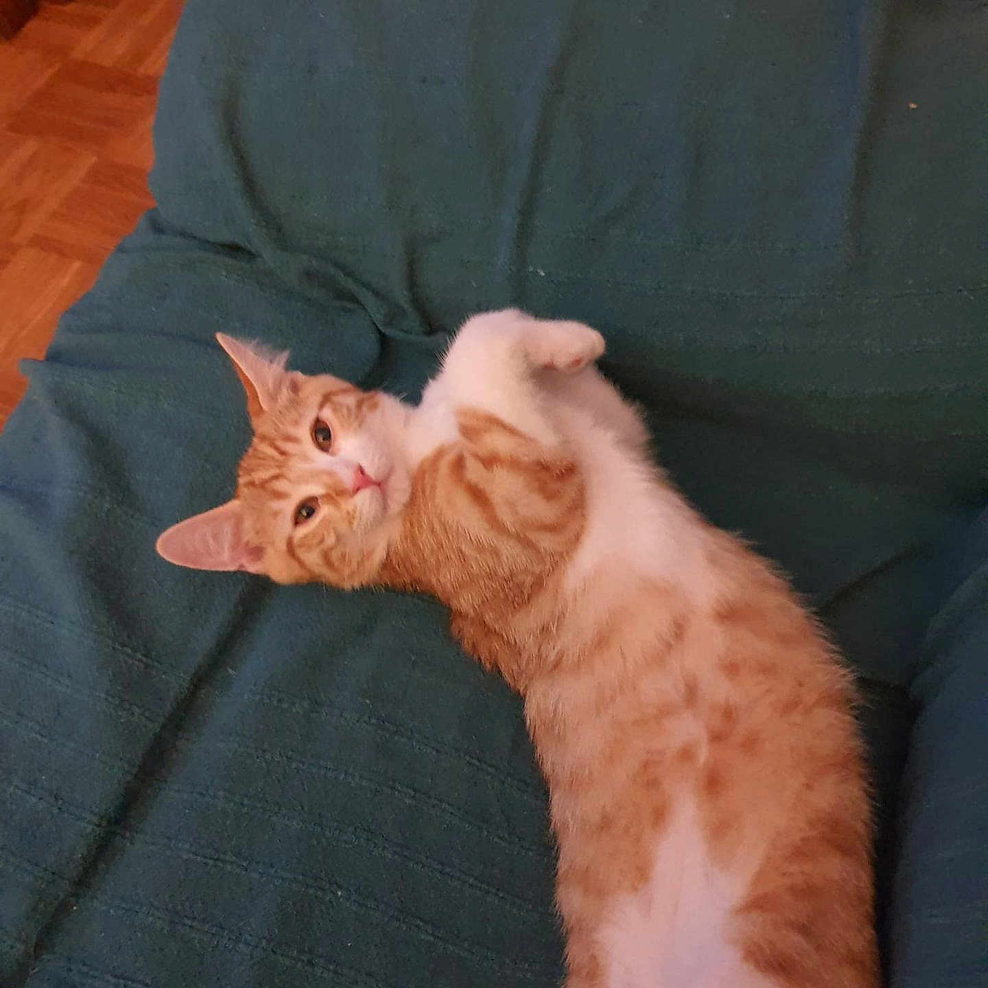 Bouba