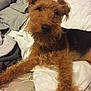 Ripp is registered to the contest to win money with this photo: