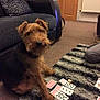 Ripp is registered to the contest to win money with this photo: