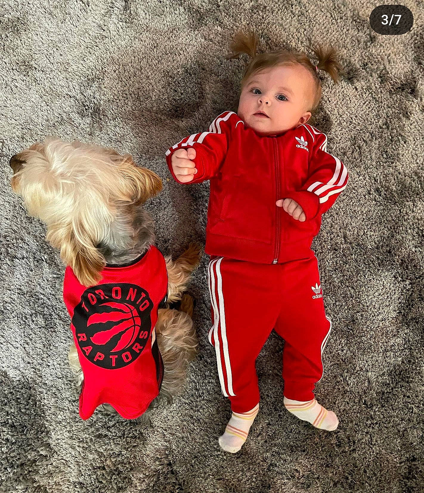 Kiley is registered to the contest to win money with this photo: baby, baby_toddler_clothing, child, christmas, fictional_character, flooring, fun, fur, gesture, grass, happy, human_body, outerwear, people_in_nature, person, play, portrait_photography, sitting, sleeve, toddler