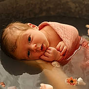 Maëva participe au concours pour gagner de l'argent avec cette photo : baby, newborn, infant, wrapped, pink_cloth, metal_tub, water, floating_flowers, flower_petals, peaceful, portrait, closeup, skin, hands, head, young_child, soft_lighting, indoors, serene, gentle