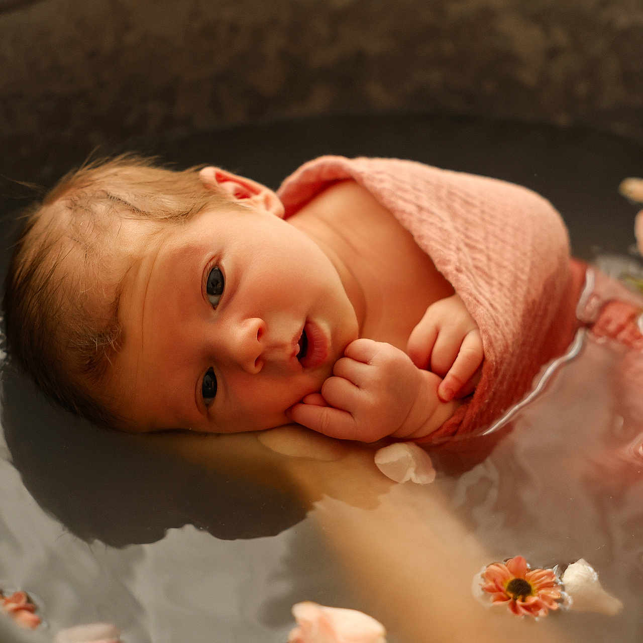 Maëva participe au concours pour gagner de l'argent avec cette photo : baby, closeup, floating_flowers, flower_petals, gentle, hands, head, indoors, infant, metal_tub, newborn, peaceful, pink_cloth, portrait, serene, skin, soft_lighting, water, wrapped, young_child