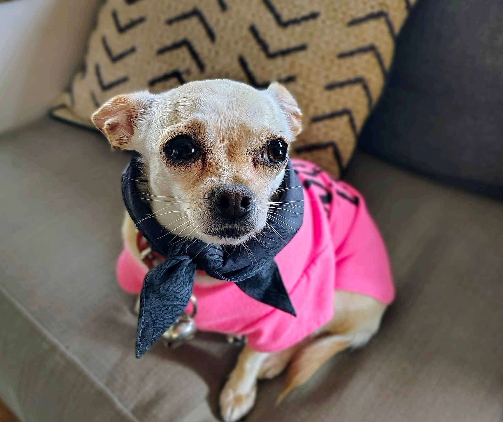 Minnie Pearl