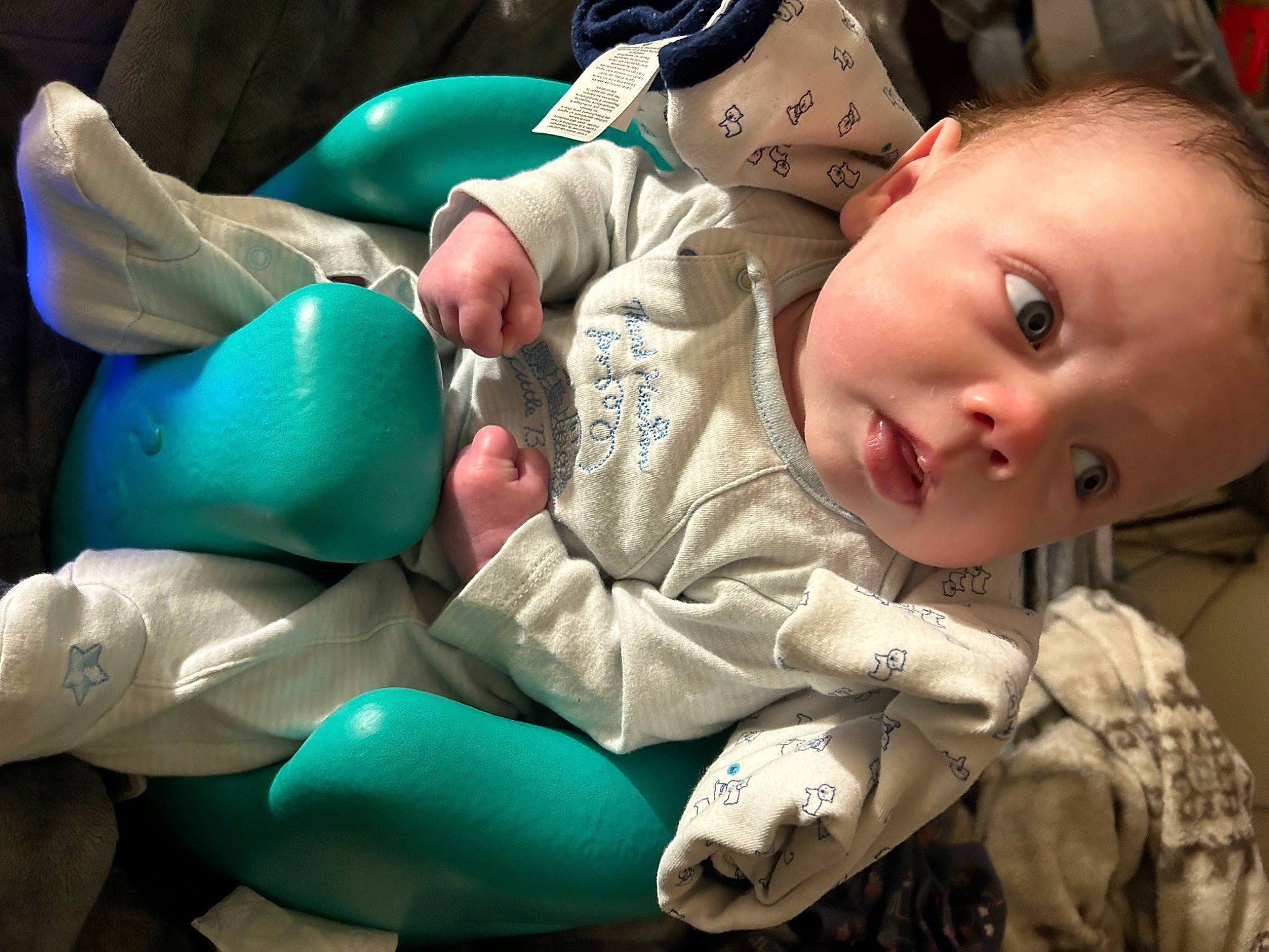 Chance joined the competition — help win amazing prizes! baby, baby_products, baby_toddler_clothing, cap, cheek, child, comfort, event, eye, fun, fur, grass, happy, hat, human_body, mouth, person, room, sitting, toddler