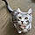 Chairman Meow