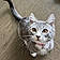 Chairman Meow