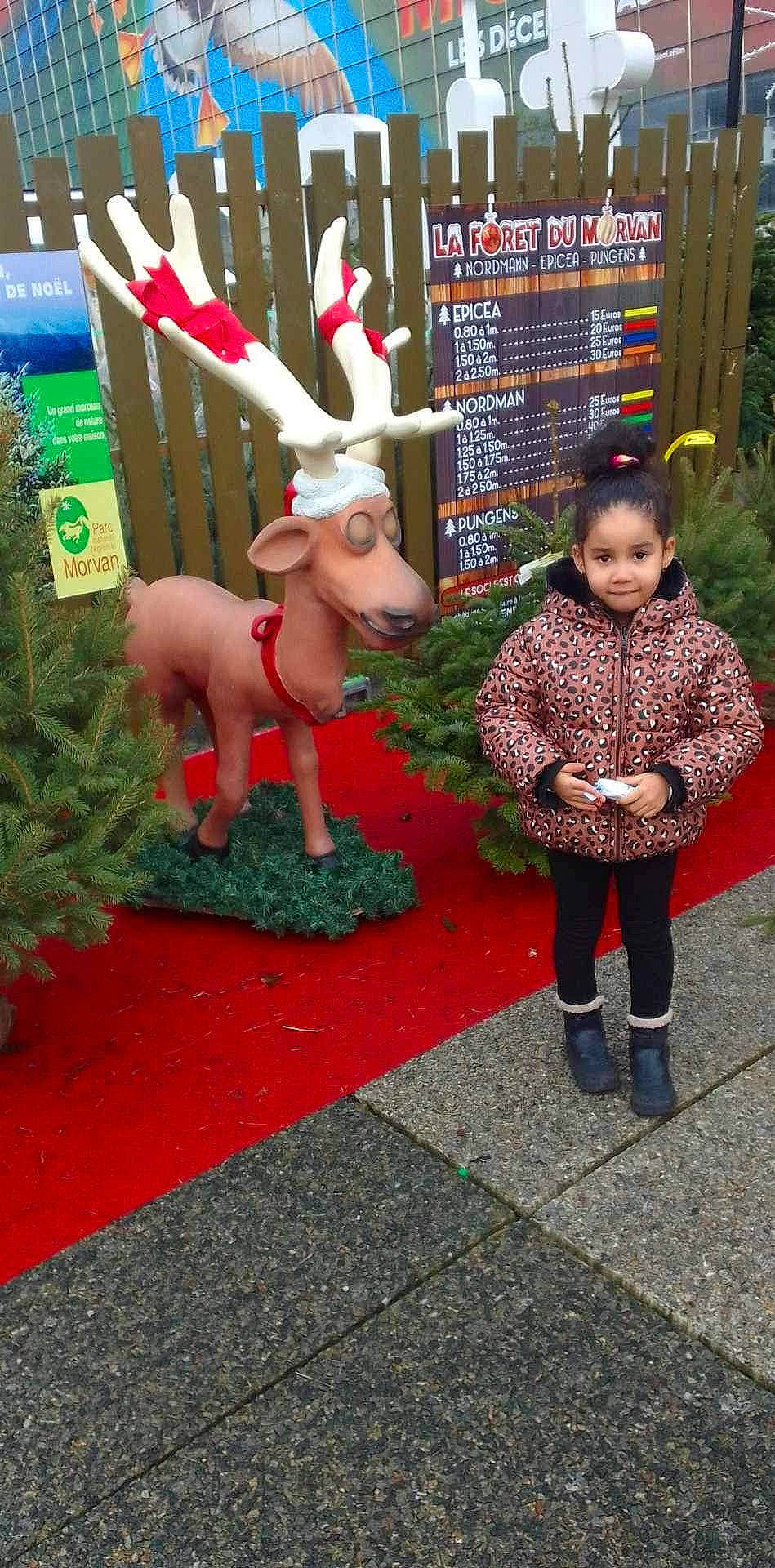 Ambre participe au concours pour gagner de l'argent avec cette photo : art, christmas, christmas_decoration, christmas_eve, christmas_ornament, deer, event, fawn, fictional_character, flooring, fun, grass, holiday, joy, lawn_ornament, organism, person, plant, reindeer, toddler