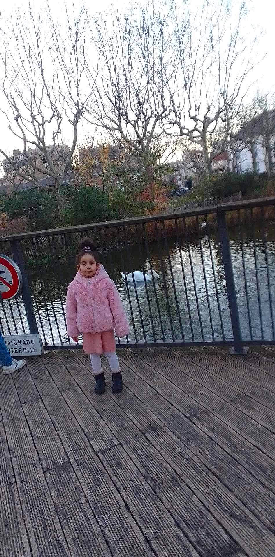 Ambre participe au concours pour gagner de l'argent avec cette photo : boardwalk, bridge, deck, fence, guard_rail, handrail, leisure, metal, pedestrian, person, plant, recreation, sky, spring, toddler, traffic_sign, tree, walkway, water, winter
