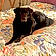 Nellie
