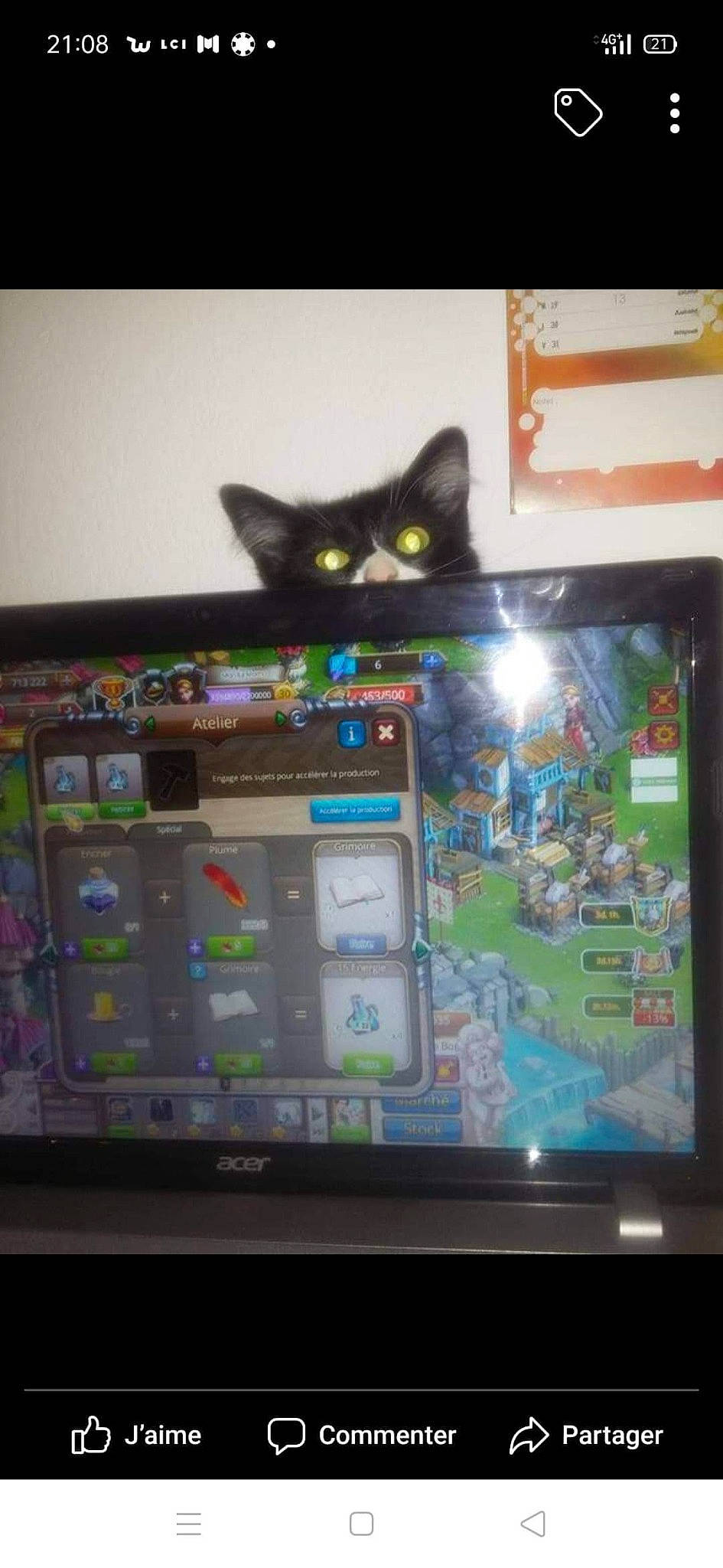 Minette participe au concours pour gagner de l'argent avec cette photo : carnivore, cat, electronic_device, electronics, felidae, gadget, screen, small_to_medium_sized_cats, technology, whiskers