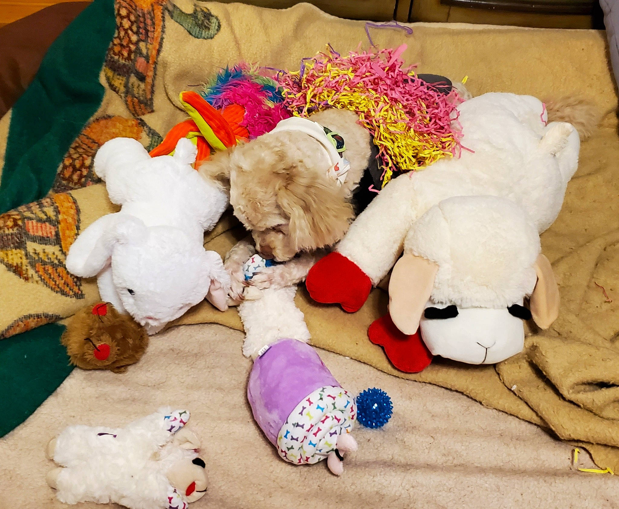 Savina is registered to the contest to win money with this photo: baby_toys, carmine, comfort, companion_dog, fur, linens, plush, room, stuffed_toy, teddy_bear, textile, toy, wool