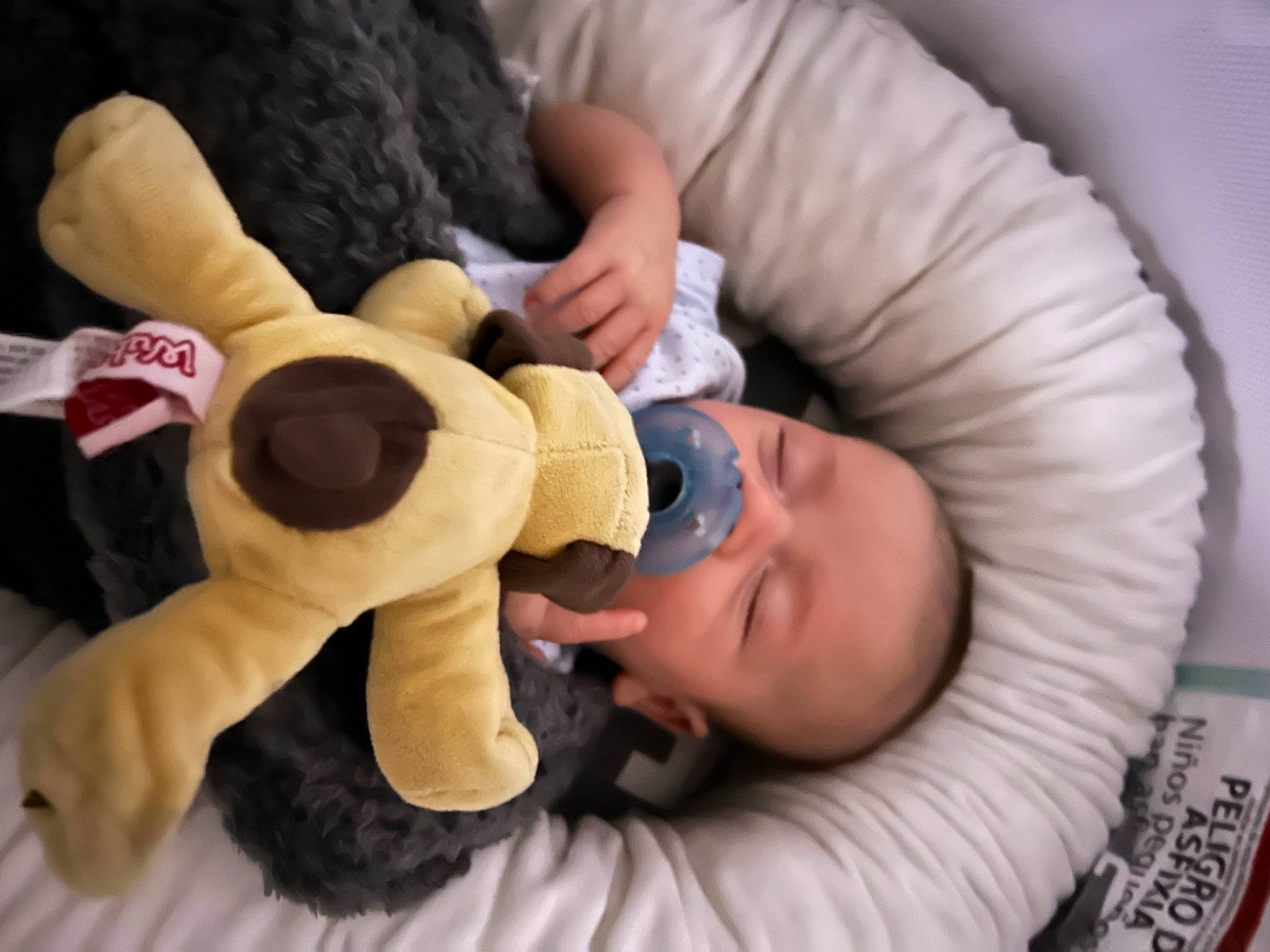 Clarence joined the competition — help win amazing prizes! baby, baby_products, baby_sleeping, baby_toddler_clothing, child, comfort, finger, gesture, linens, nail, nose, person, plush, room, skin, stuffed_toy, teddy_bear, thumb, toddler, toy