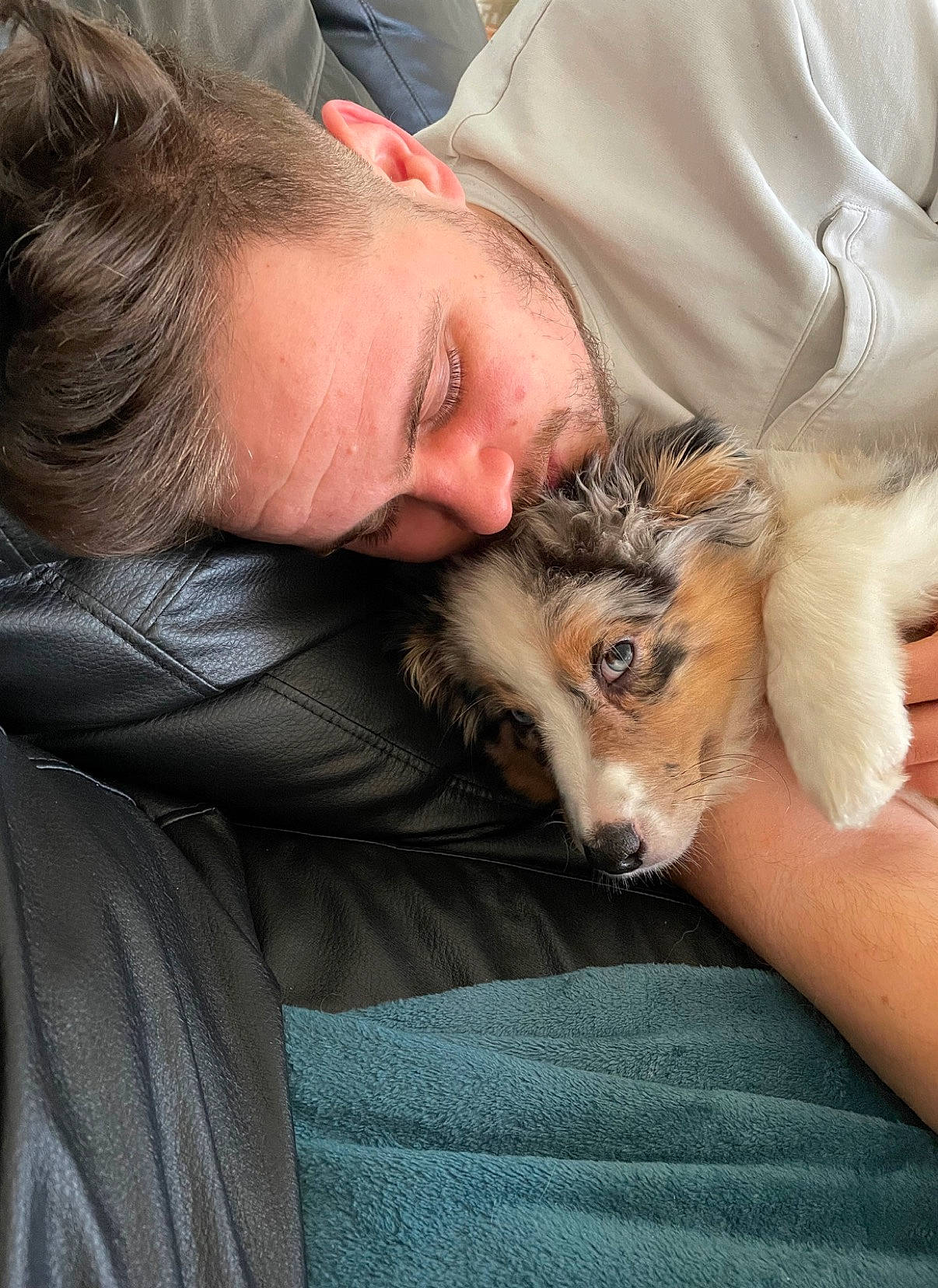 Joy participe au concours pour gagner de l'argent avec cette photo : beard, canidae, carnivore, comfort, companion_dog, dog_breed, ear, fawn, felidae, fur, gesture, lap, paw, puppy, sitting, small_to_medium_sized_cats, sporting_group, whiskers, wildlife, wildlife_biologist