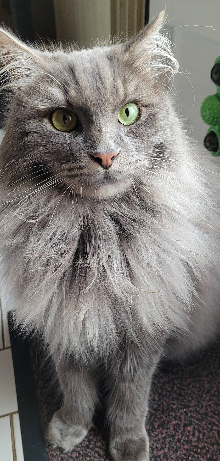 Léo