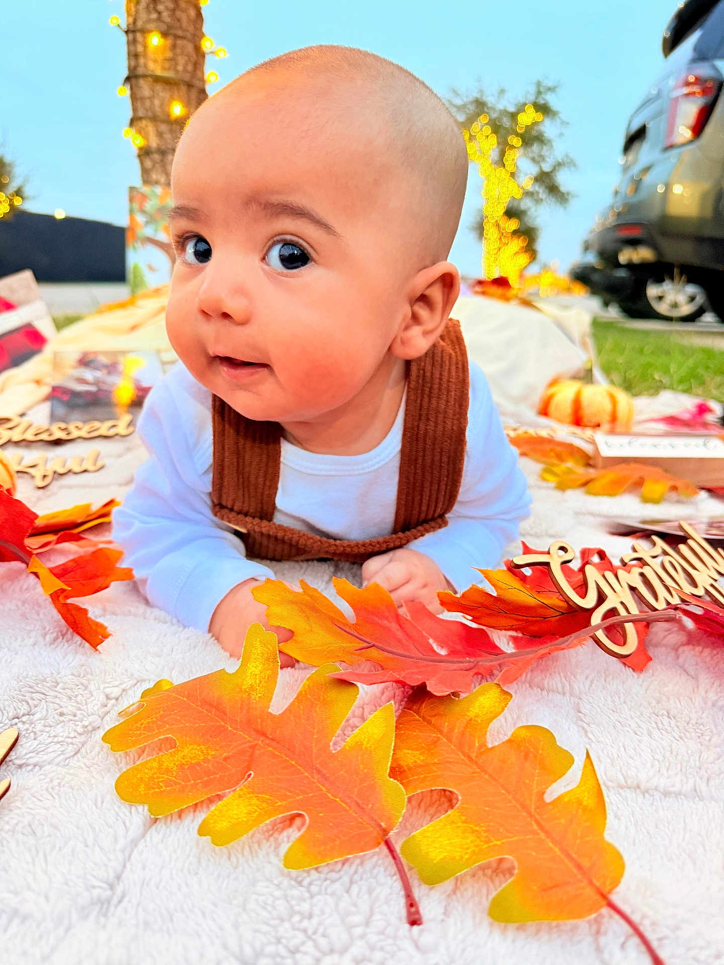 Thiago joined the competition — help win amazing prizes! baby, infant, blanket, autumn_leaves, fall, outdoor, tree, lights, decoration, pumpkin, grass, car, clothing, face, portrait, cute, toddler, smile, hand, nature