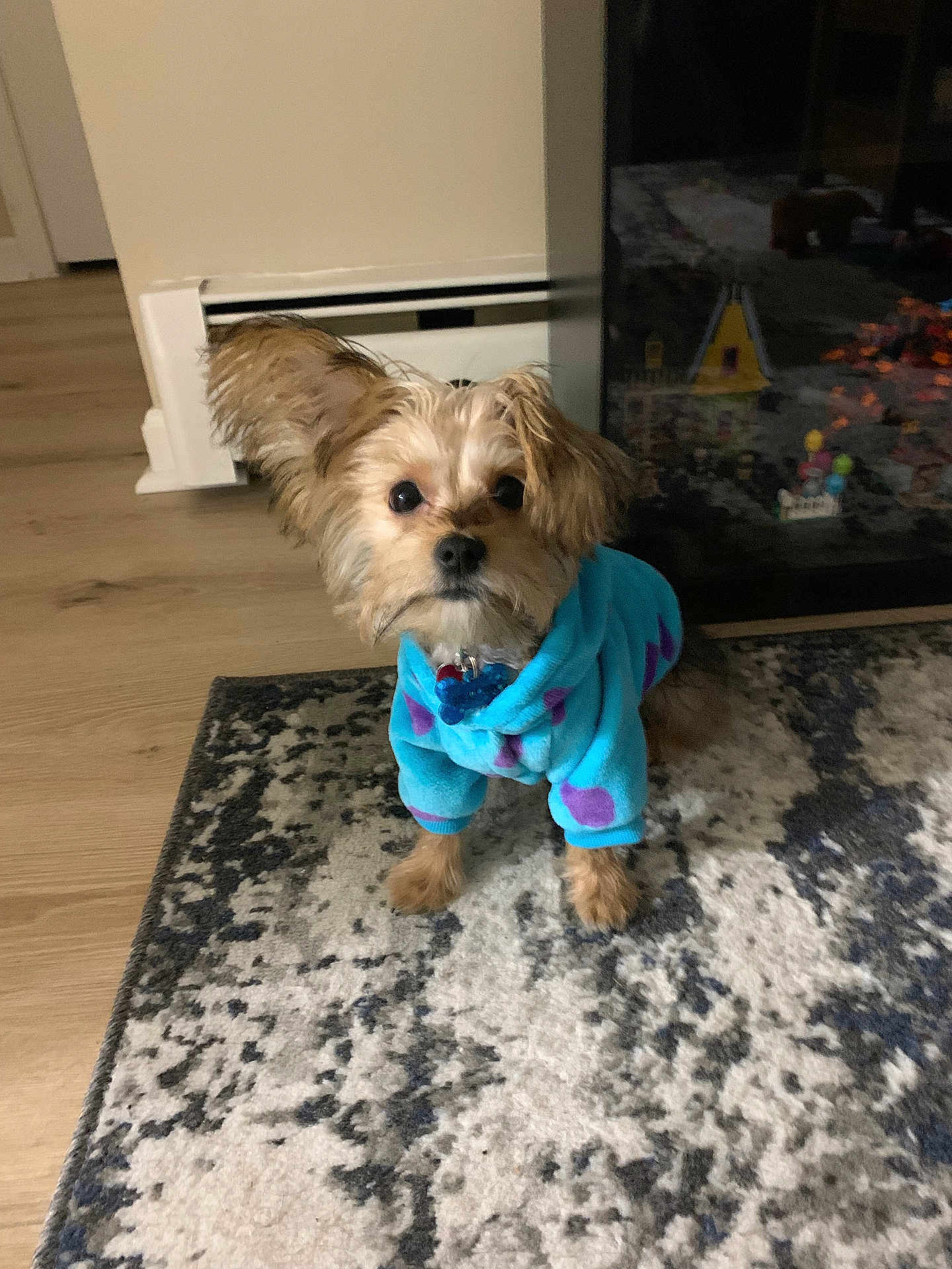 Finn