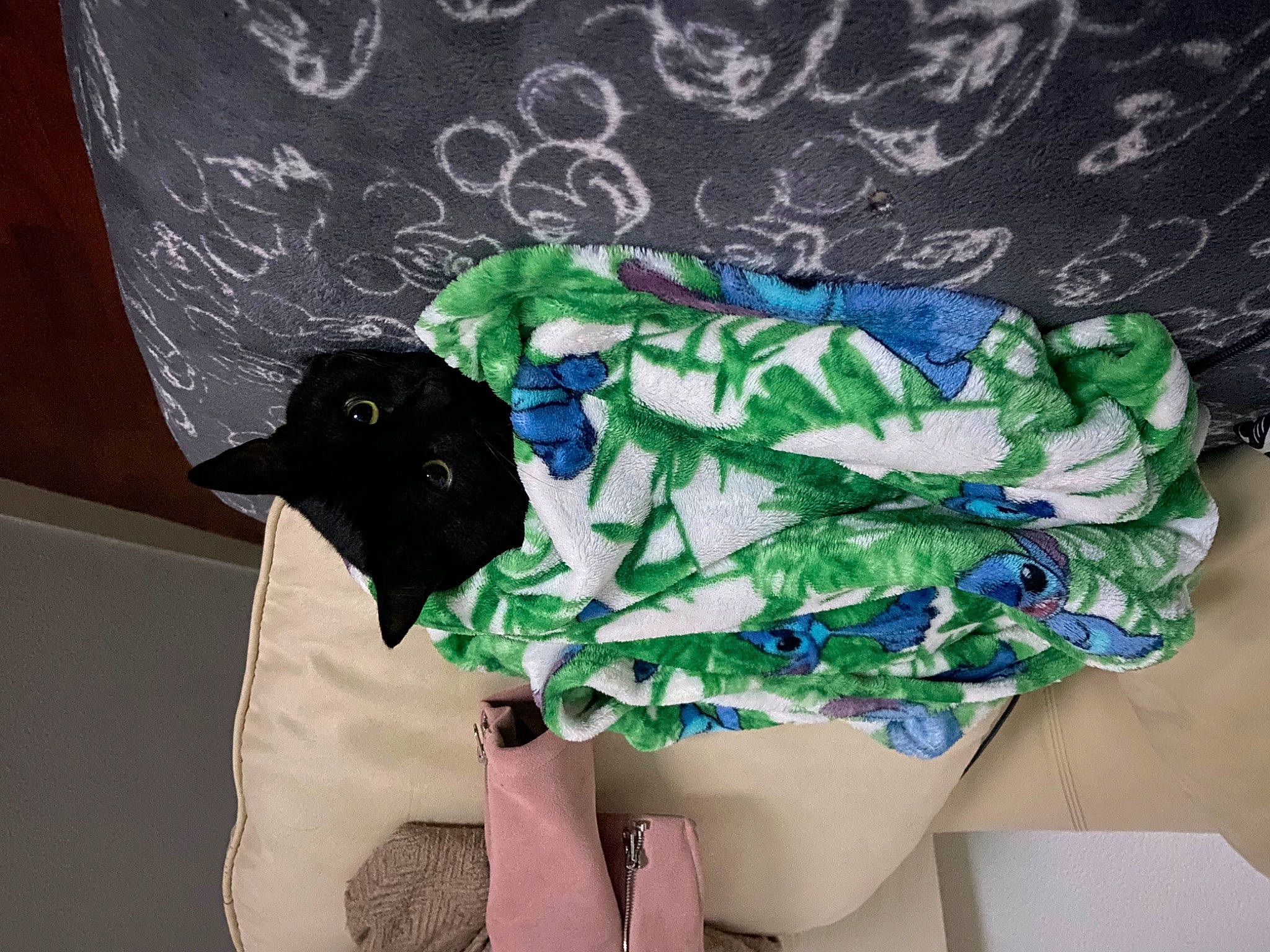 Zorro a rejoint le concours — aidez-le/la à gagner de superbes lots ! baby_toddler_clothing, bag, briefs, electric_blue, fashion_design, human_leg, linens, lingerie, personal_protective_equipment, purple, shorts, sleeve, sportswear, swimwear, t_shirt, thigh, trunks, undergarment, underpants, waist